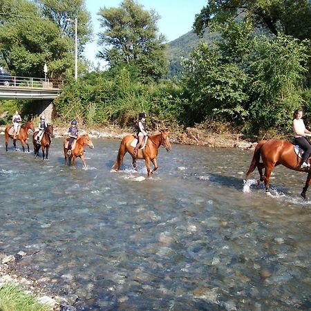 Crotto Caraco Appartamenti Bungalow Chalet Porlezza Bagian luar foto